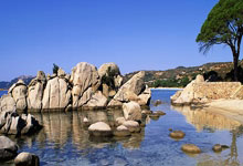 先下手为强？23岁华裔球员瑞安-蒂格首次入选澳大利亚国家队.